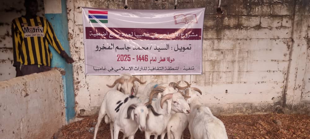 WhatsApp Image 2026-04-08 at 12.57.45 PM